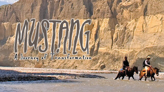 Mustang -- Journey of Transformation