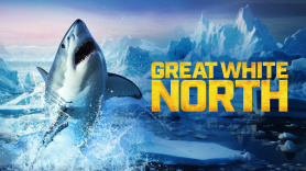 Great White North