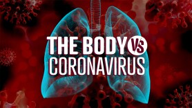 The Body Vs. Coronavirus