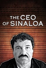 CEO of Sinaloa