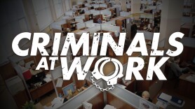 Criminals at Work