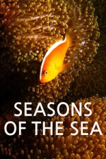 Seasons of the Sea