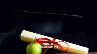 Xploration: Second Chance Pets