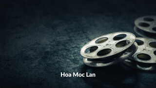 Hoa Moc Lan