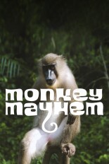 Monkey Mayhem