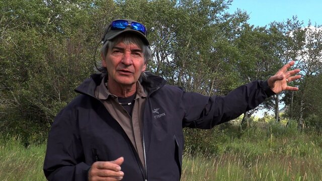 Walk in the Park With Nick Mollé: Nature of the Beasts