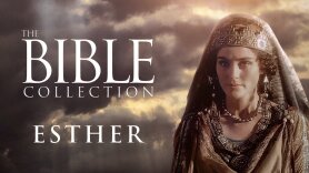 Bible Collection: Esther