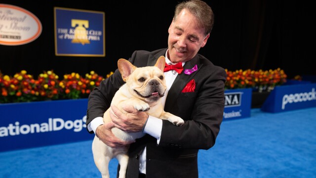 The National Dog Show