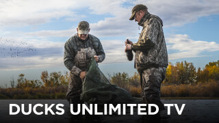 Ducks Unlimited