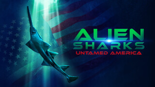 Alien Sharks: Untamed America