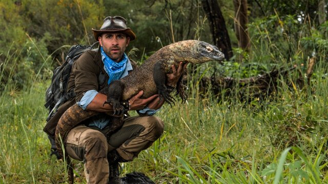 Coyote Peterson: Brave the Wild