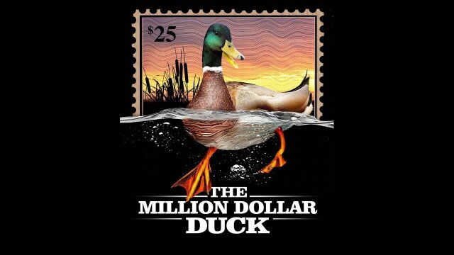 Watch Million Dollar Duck Online Streaming | DIRECTV