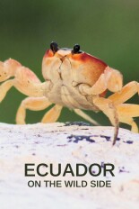 Ecuador: On the Wild Side