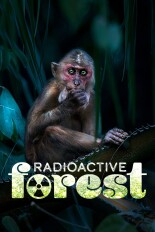 Radioactive Forest: 10 Years After
