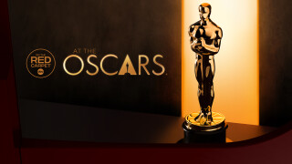 On the Red Carpet at the Oscars