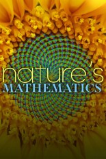 Nature's Mathematics