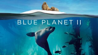 Blue Planet II