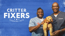 Critter Fixers: Country Vets