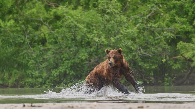 How to Hunt With Ryan Kohler