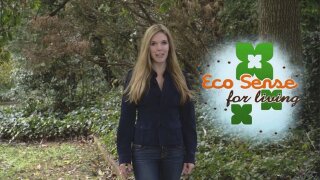 Ecosense for Living