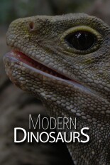 Modern Dinosaurs