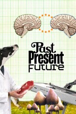 Past, Present, Future