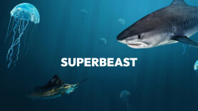 Superbeast