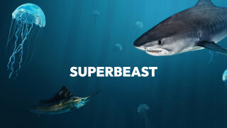 Superbeast