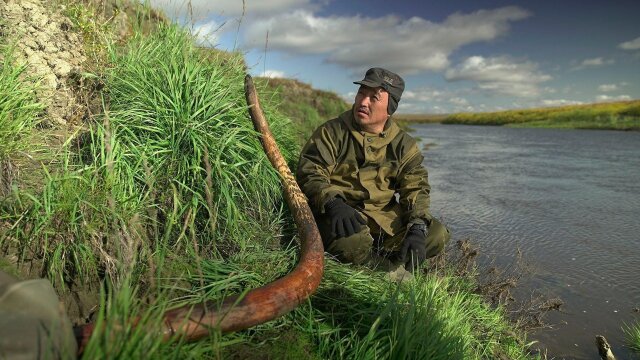 Earth's Natural Wonders -- Life at the Extremes