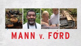 Mann v. Ford