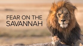 Fear on the Savannah