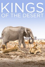 Kings of the Desert