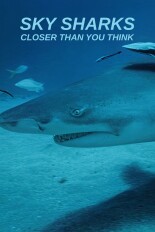 Sky Sharks: Closer Than You Think