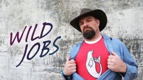 Wild Jobs