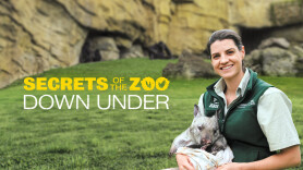 Secrets of the Zoo: Down Under