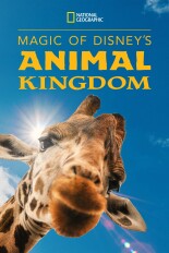 Magic of Disney's Animal Kingdom