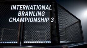 International Brawling Championship 3