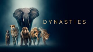 Dynasties