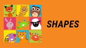 Shapes