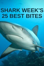 Shark Week's 25 Best Bites