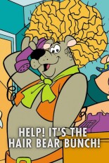 Help! It's the Hair Bear Bunch!