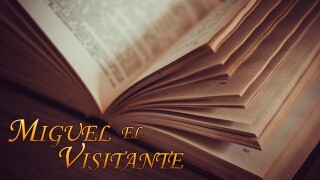 Miguel el visitante