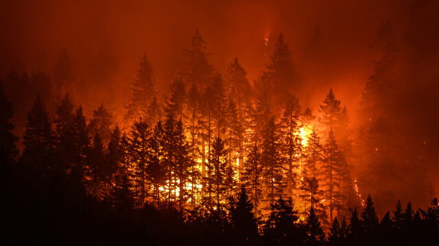 Live: CA Fires & Winter Storm Enzo