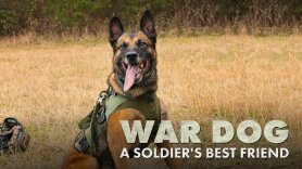 War Dog: A Soldier's Best Friend
