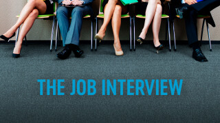 The Job Interview