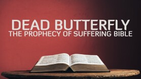 Dead Butterfly: The Prophecy of Suffering Bible