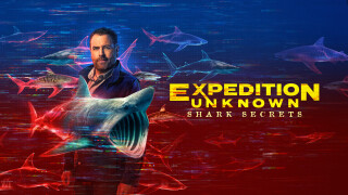 Expedition Unknown: Shark Secrets