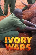 Ivory Wars