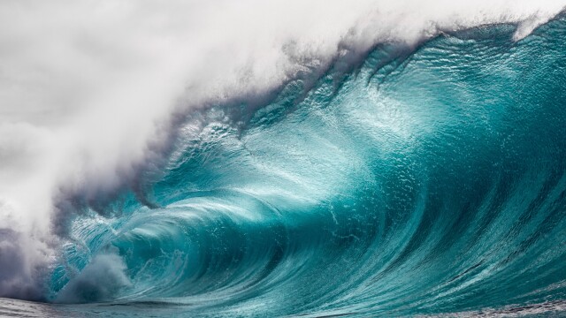 Relentless: The Inspiring Story of Dusty Payne's Return to Surfing