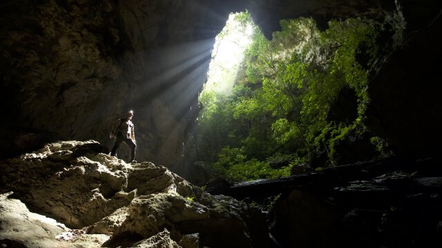 Expedition with Steve Backshall: Unpacked